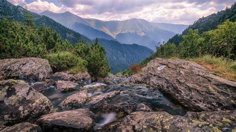 Caltun river - Romania - Landscape photography | Check out m… | Flickr