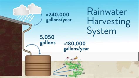 Rainwater Harvesting System - YouTube