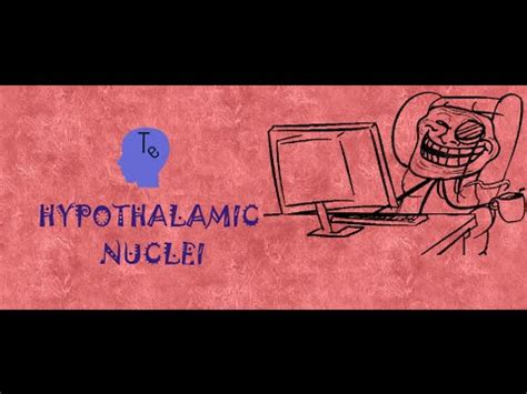 Hypothalamic Nuclei Functions and Mnemonic - YouTube