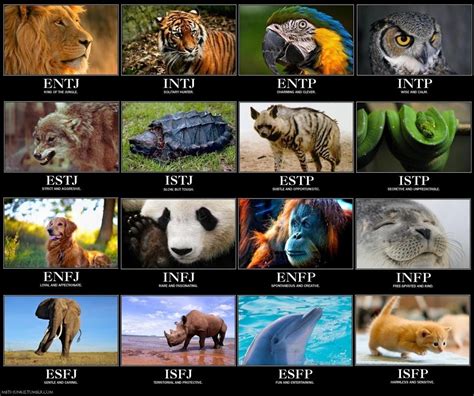 Myers Briggs Personality Animals