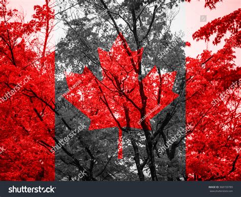 Canada Flag Leaf Wallpaper