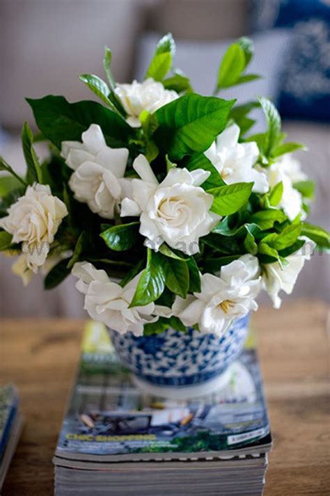 Las #gardenias son un elemento muy hermoso para la #decoración de tu # ...