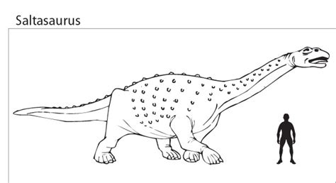 Smuggled Fossils Returned to Argentina