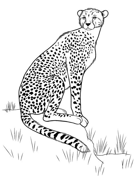 Malvorlagen - Cheetah auf der Jagd