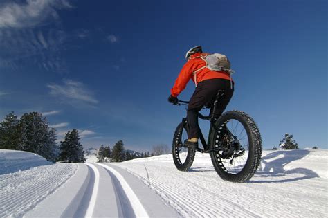 Fat Tire Bike Tours | Spring Creek Ranch | Jackson Hole, Wyoming