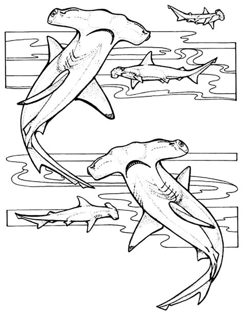 Hammerhead sharks - Sharks Kids Coloring Pages