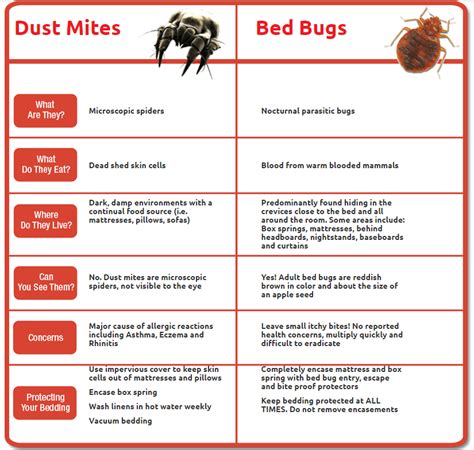 Dust Mite Bites Vs Bed Bug Bites | Hot Sex Picture