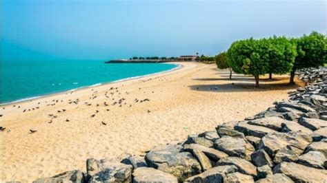 13 Mesmerizing Examples of Beaches in Kuwait - FotoLog