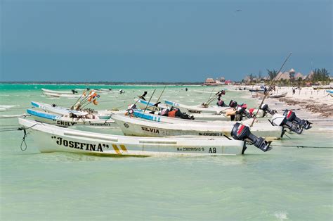 The Best Spots for Swimming with Whale Sharks in Mexico and Central America