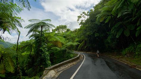 El Yunque National Forest, Eastern Region, Puerto Rico - Book Tickets