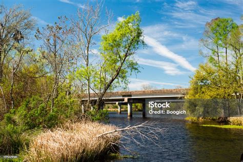 Bridge Over Manchac Swamp Louisiana Bayou Wetland Landscape Stock Photo ...