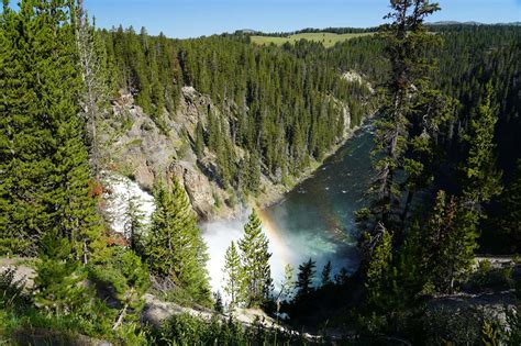 Upper Falls - Powerful Waterfall on the Yellowstone River