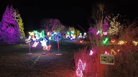 Sir Harold Hillier Gardens opens after dark for Light Up trail | Daily Echo