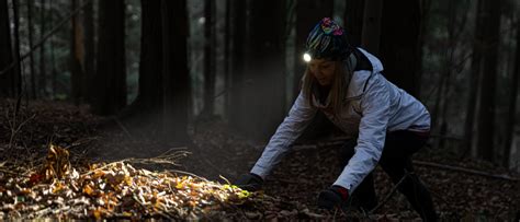 3 Best Hunting Headlamps To Light Up Your Prey With In 2024.