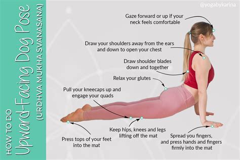 11+ How To Do Downward Facing Dog For Beginners | Yoga Poses