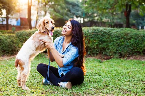 Dog Training - Canberra Veterinary Hospital