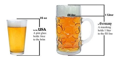 How Many Beers in a Liter? - PostureInfoHub