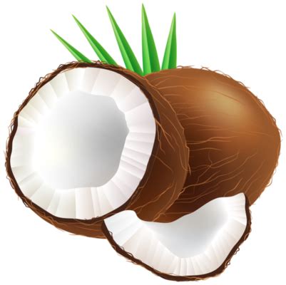 Coconut PNGs for Free Download