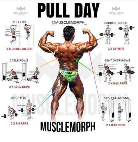 pull day exercises