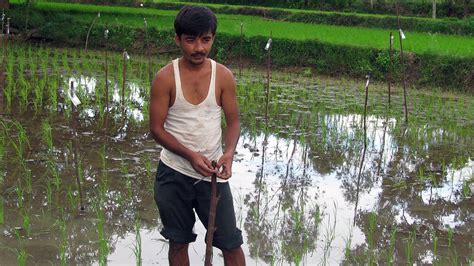 Kirugavalu’s desi ‘farming scientist’