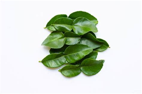 Kaffir Lime Leaves – Smartyield.in