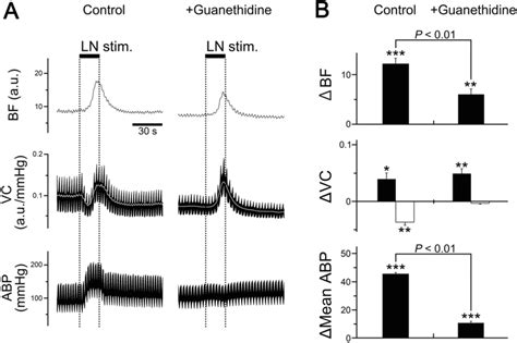 Effects of pretreatment with guanethidine on the hemodynamics evoked by... | Download Scientific ...