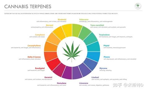 什么是萜类物质 Terpenes - 知乎