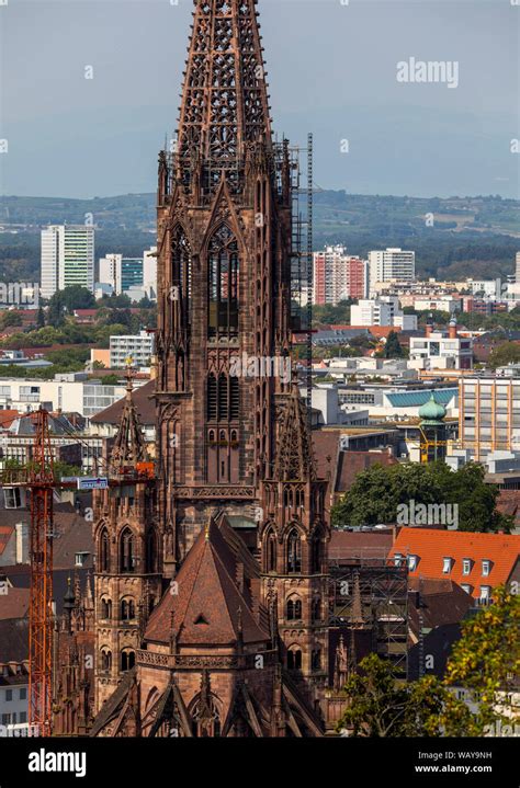 Freiburg im Breisgau, old town, church tower of the Freiburg cathedral ...