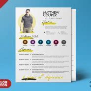 Premium and Clean Resume CV Template PSD - PSD Zone