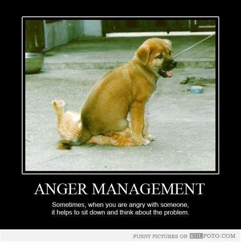 Funny Quotes Anger Management. QuotesGram