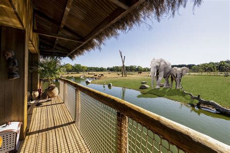 You Can Now Stay Overnight In These Amazing Lodges At West Midland Safari Park