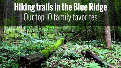 Hiking trails in the Blue Ridge - Our top 10 family favorites - Blue Ridge Mountain Life