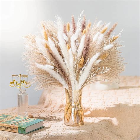 Natural-Pampas-Grass-Bouquet-Boho-Home-Decor-Bunny-Tails-Grass-Reed ...