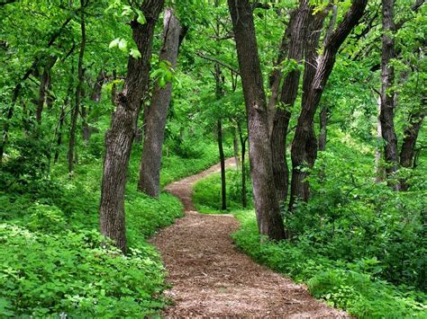 9 Iowa Hiking Trails | Travel Iowa