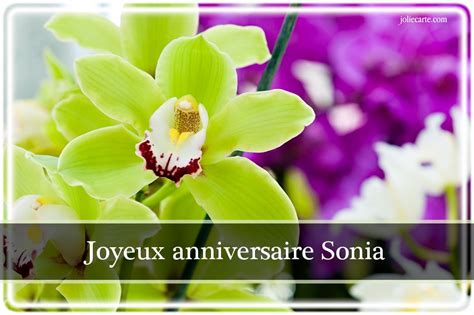 Carte Joyeux Anniversaire Sonia | tasyafiolarara blog