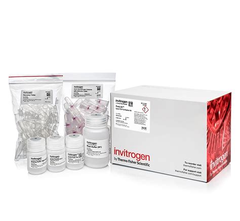 Invitrogen™ PureLink™ PCR Purification Kit | Fisher Scientific