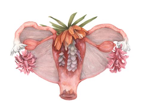 Her Majesty Painting Art Anatomy Uterus Flowers Medical - Etsy