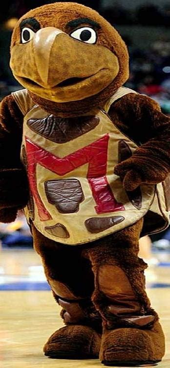 Maryland Terrapins - Testudo mascot | Mascot, Maryland terrapins, University of maryland