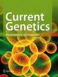 Ino2, activator of yeast phospholipid biosynthetic genes, interacts with basal transcription ...