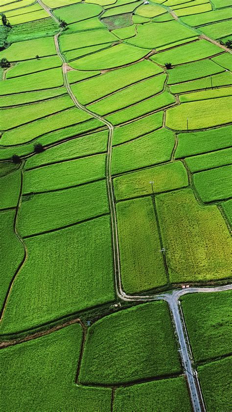 mb57-wallpaper-rice-paddy-field-nature - Papers.co