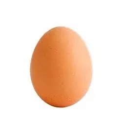 Organic Egg - Wholesale Price & Mandi Rate for Organic Egg