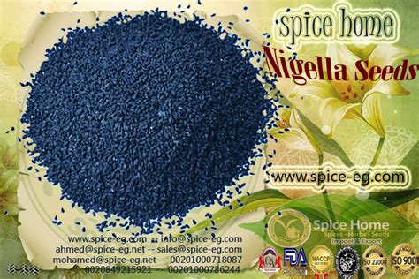 Nigella | Spice Home