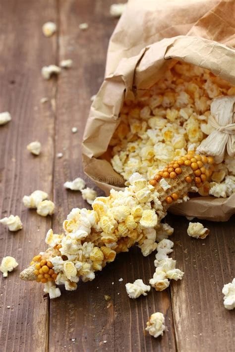 Popcorn on the cob stock photo. Image of husk, kernels - 101303620