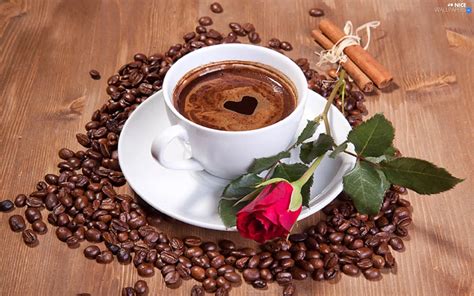 rose, coffee, grains, cup - Nice wallpapers: 1920x1200