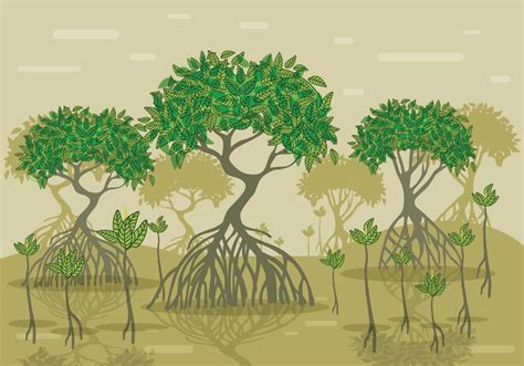 Mangrove Vector Forest 107165 Vector Art at Vecteezy