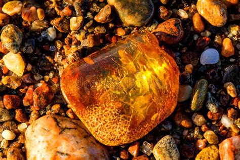 Amber on a Beach of the Baltic Sea Stock Image - Image of material ...