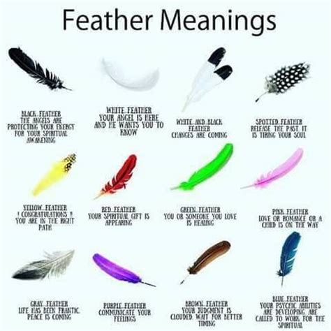 Feather meanings... | Feather color meaning, Feather meaning, Black feather meaning