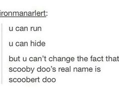 Scoobert doo Scooby Doo, Funny Quotes, Funny Memes, Funny Tweets, Dankest Memes, Life Quotes ...