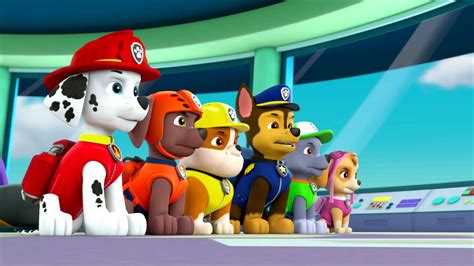 Nick Jr.: Paw Patrol Mix Ups on Vimeo