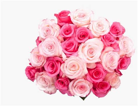 Bouquet Of Birthday Flowers Png Transparent Image - Pink Rose Flower ...